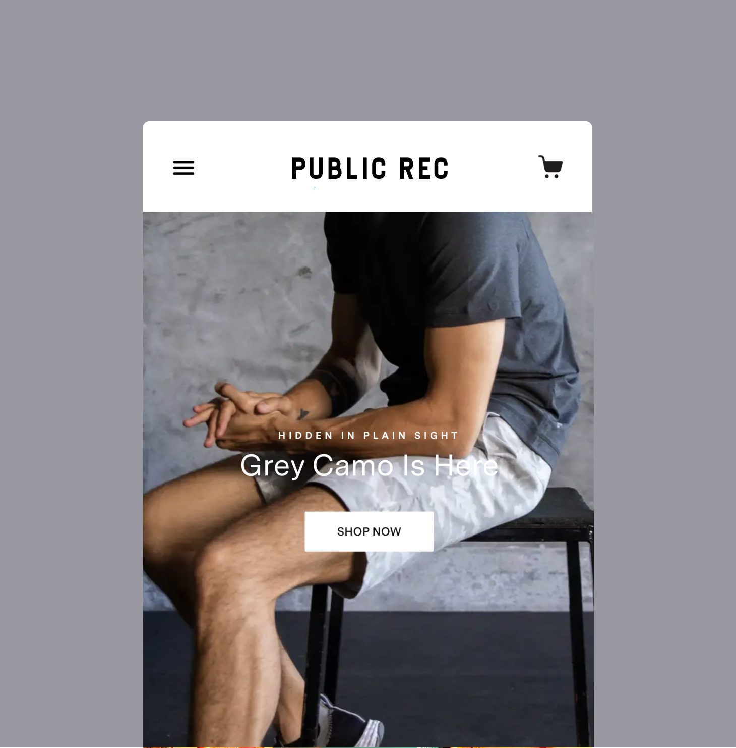 Public Rec - Mobile View